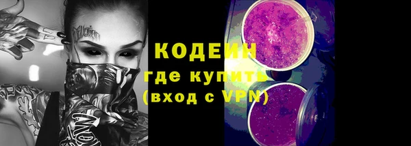 мдпв Инта