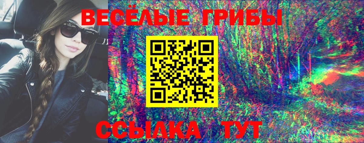 Псилоцибиновые грибы GOLDEN TEACHER Бугульма