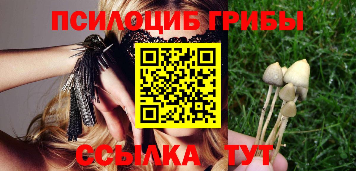 Галлюциногенные грибы Cubensis  Бугульма 