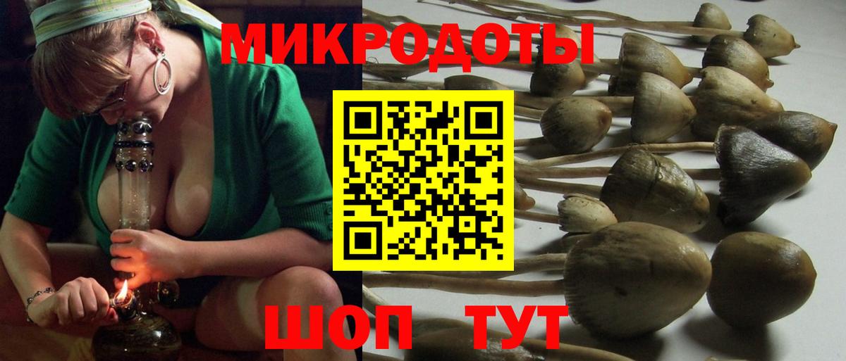 Галлюциногенные грибы GOLDEN TEACHER  Вход с VPN  Бугульма 